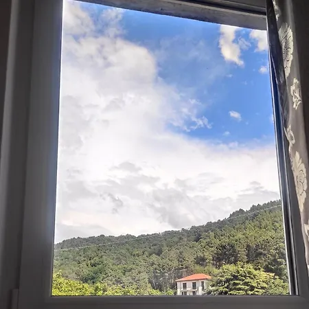 Casa Enzo Pensionat 3*